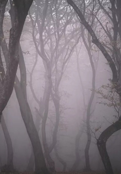 Richiesta Cancellazione Dati Personali Explorer Paranormal Entity Indagini e Fenomeni Paranormali su Fantasmi Spiriti e Demoni in Italia